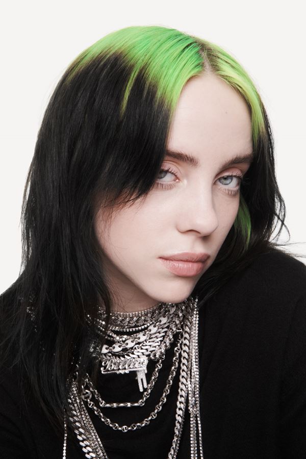 Billie Eilish faz limpeza no Instagram