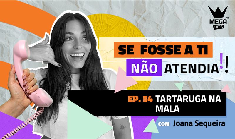 Ep.54 | Tartaruga na mala