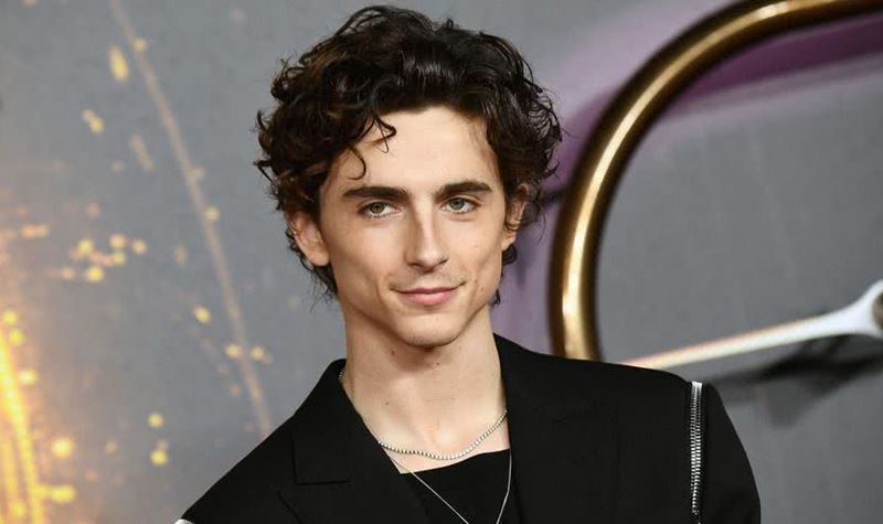 Timothée Chalamet fotografado com Kylie Jenner em pose suspeita