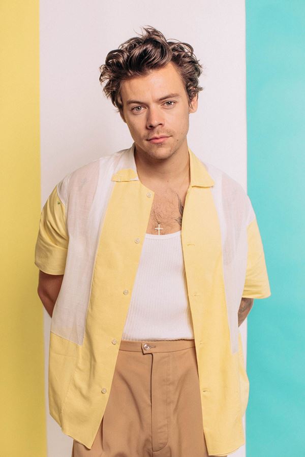 Harry com muito ou pouco "style"?!