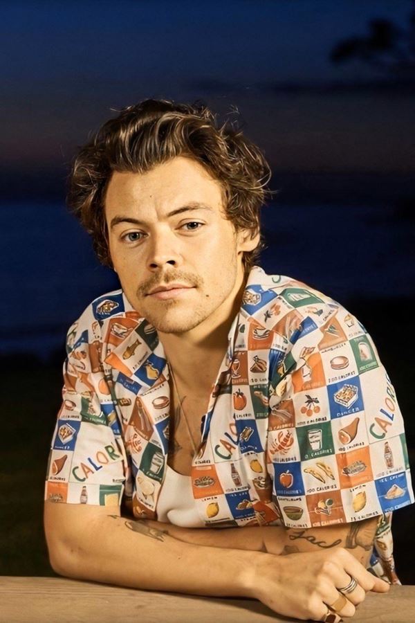 Harry Styles: "É preciso acabar com a violência com armas de fogo".