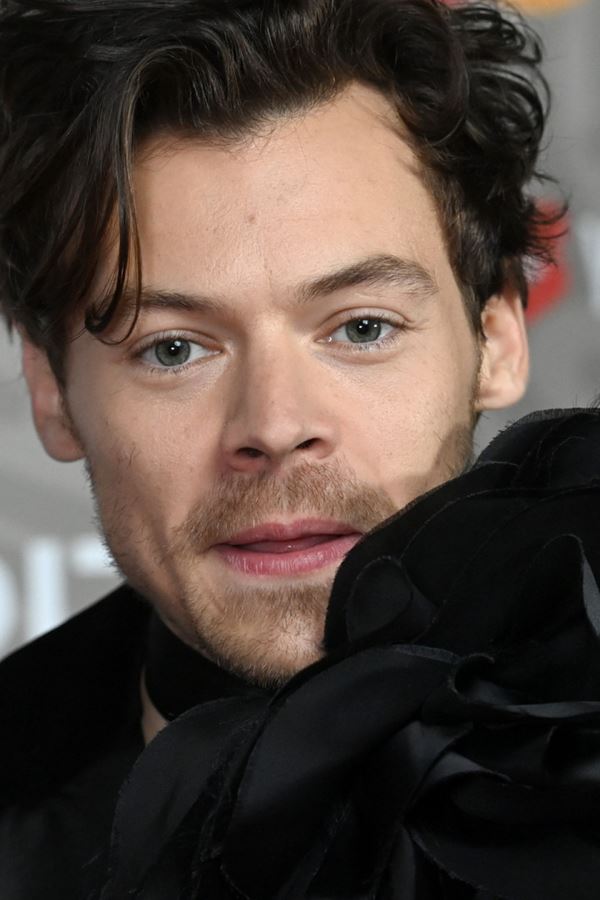 Harry Styles com novo romance à vista?