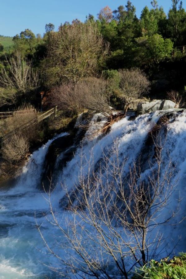 A praia fluvial que é ideal para uma tarde de verão A praia fluvial que é ideal para uma tarde de verão