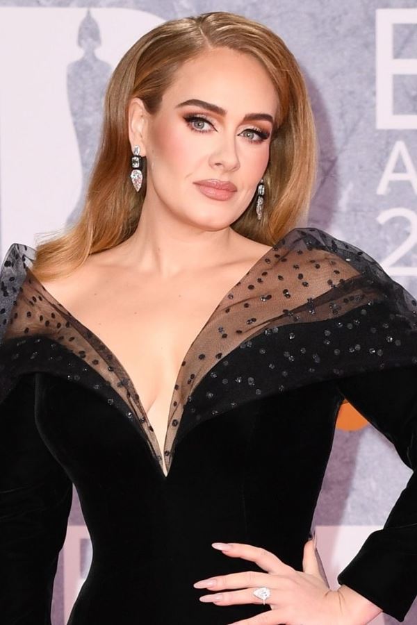 Adele interrompe o concerto para defender um fã…