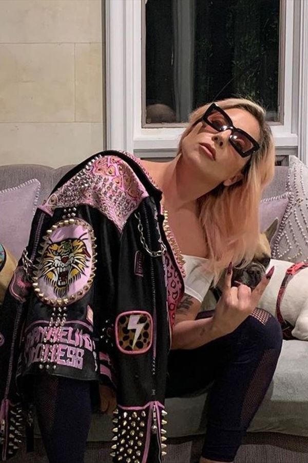 Roubaram os cães de Lady Gaga!