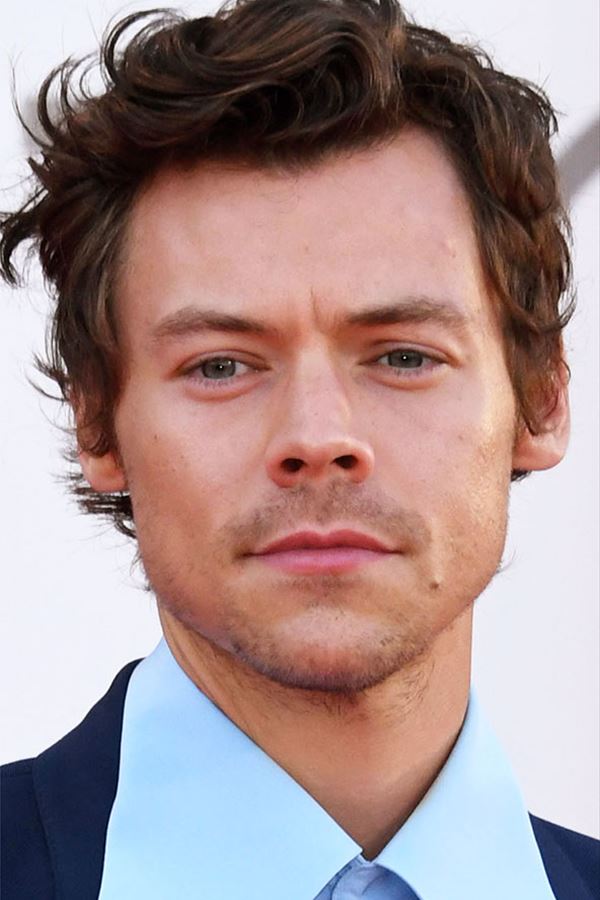 Harry Styles e Olivia Wilde já não namoram!