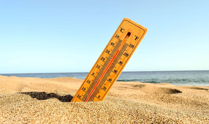 Europa ferve com onda de calor histórica e Portugal está em alerta!