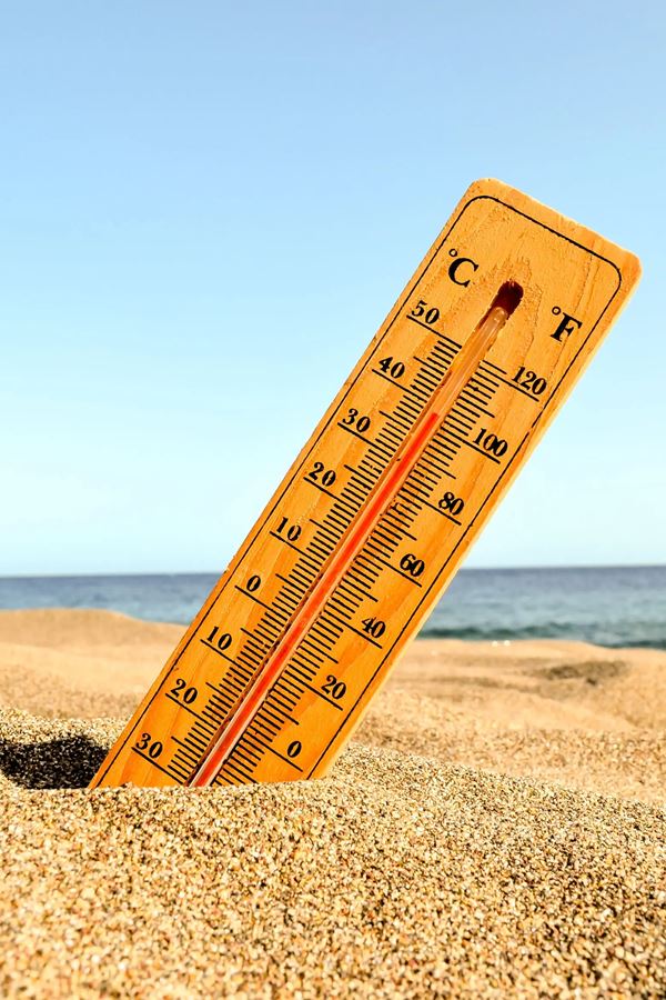 Europa ferve com onda de calor histórica e Portugal está em alerta!