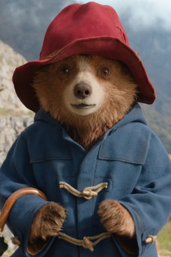 Urso Paddington pronto para uma nova aventura!