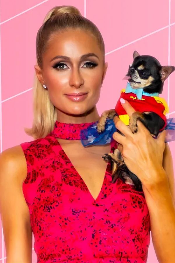 Paris Hilton foi mãe!