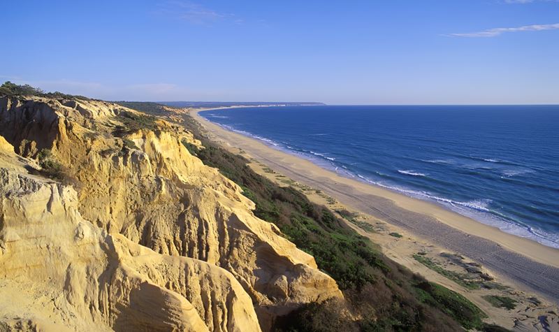Carris Metropolitana reforça ligações à praia este verão
