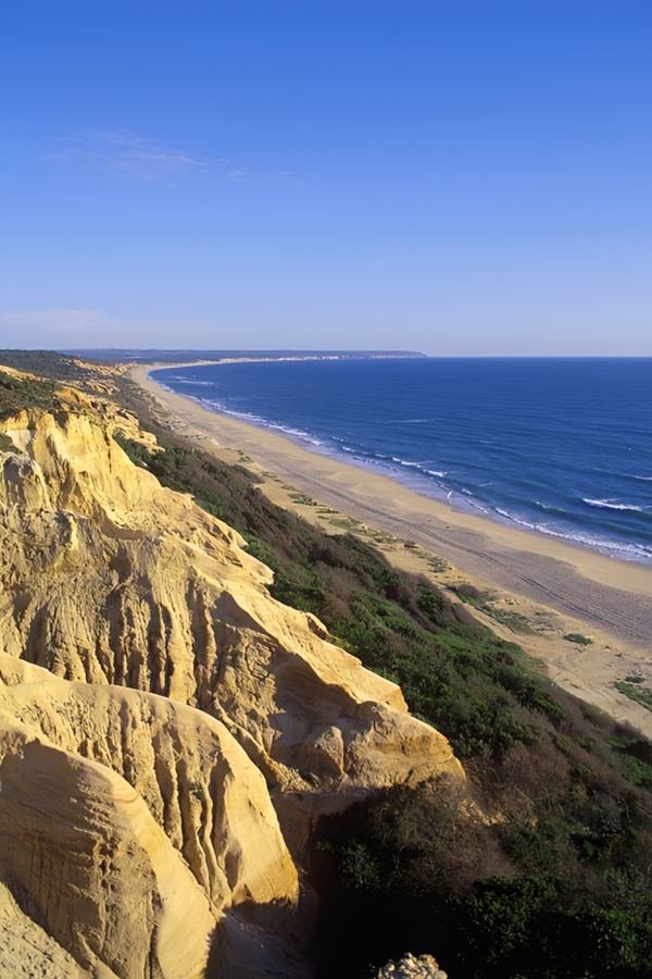 Carris Metropolitana reforça ligações à praia este verão