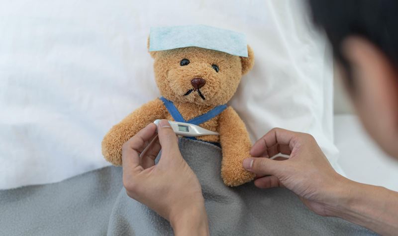 O Hospital dos Pequeninos da AEFML está de regresso!