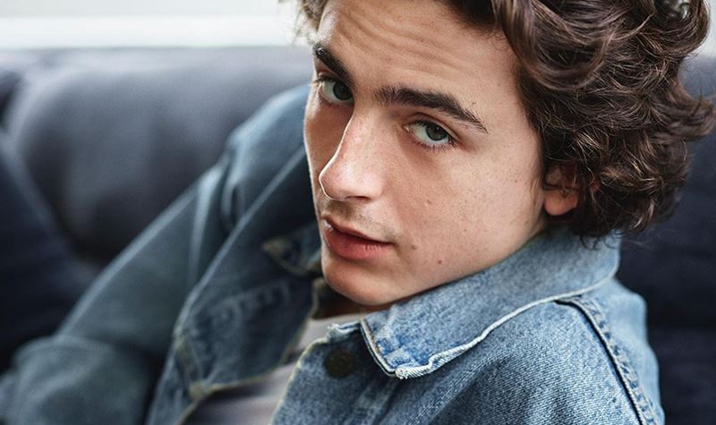 Timothée Chalamet invade concurso de Look-Alike