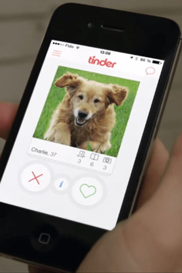 Procuras um cão ou um gato? Vai ao Tinder!